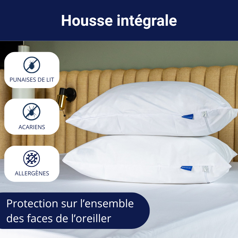 Housse anti punaises de lit intégrale oreiller. Protection sur l'ensemble des faces de l'oreiller.