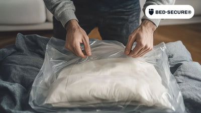 Punaises de lit sur les vêtements