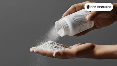 Terre de diatomée contre les punaises de lit