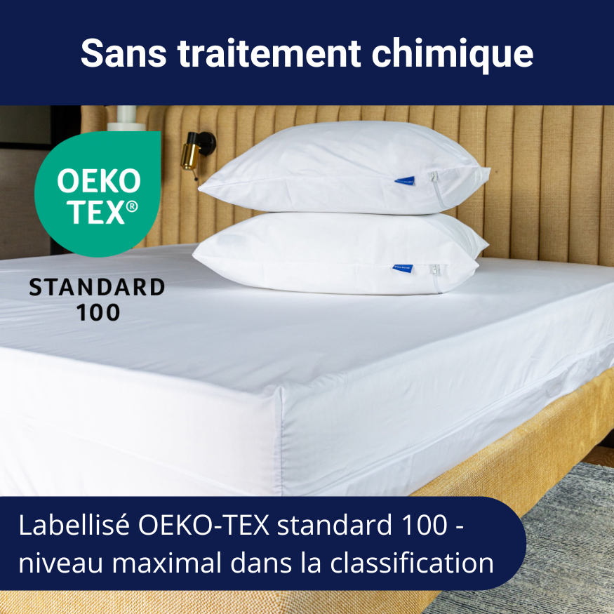 Housse de matelas anti-punaises de lit