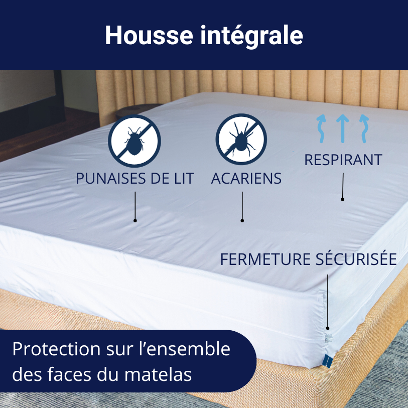 Housse anti-punaises de lit intégrale, recouvre complétement l'ensemble des faces du matelas. Effet barrière total.