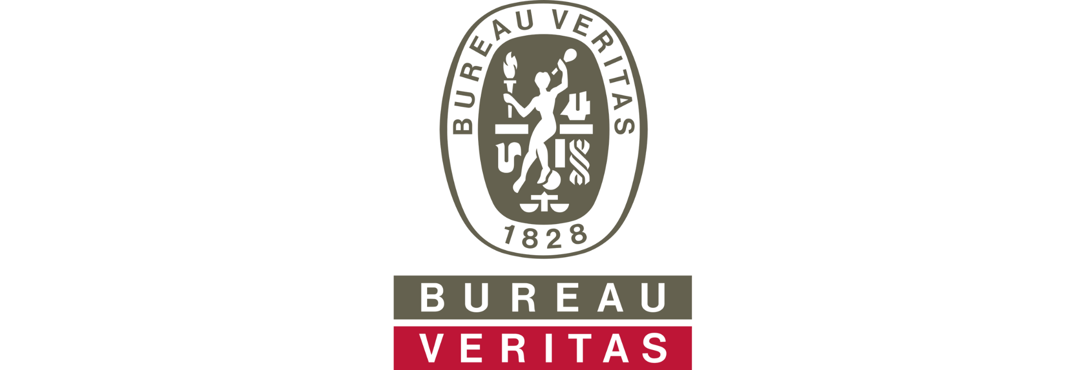 Logo Bureau Veritas